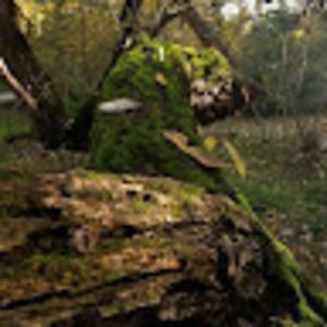 Meet your Posher, Cat